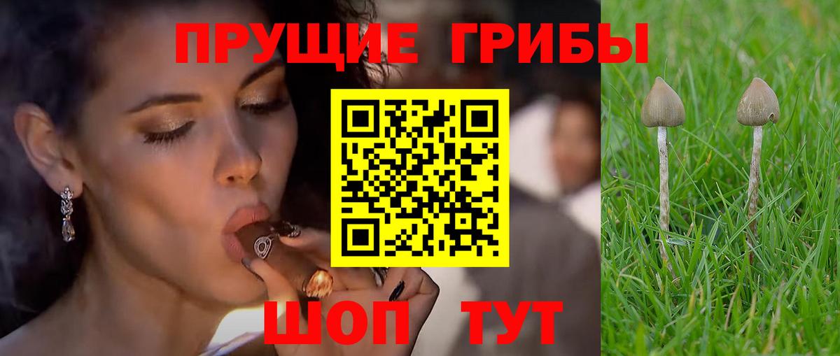 Псилоцибиновые грибы ЛСД Лесозаводск