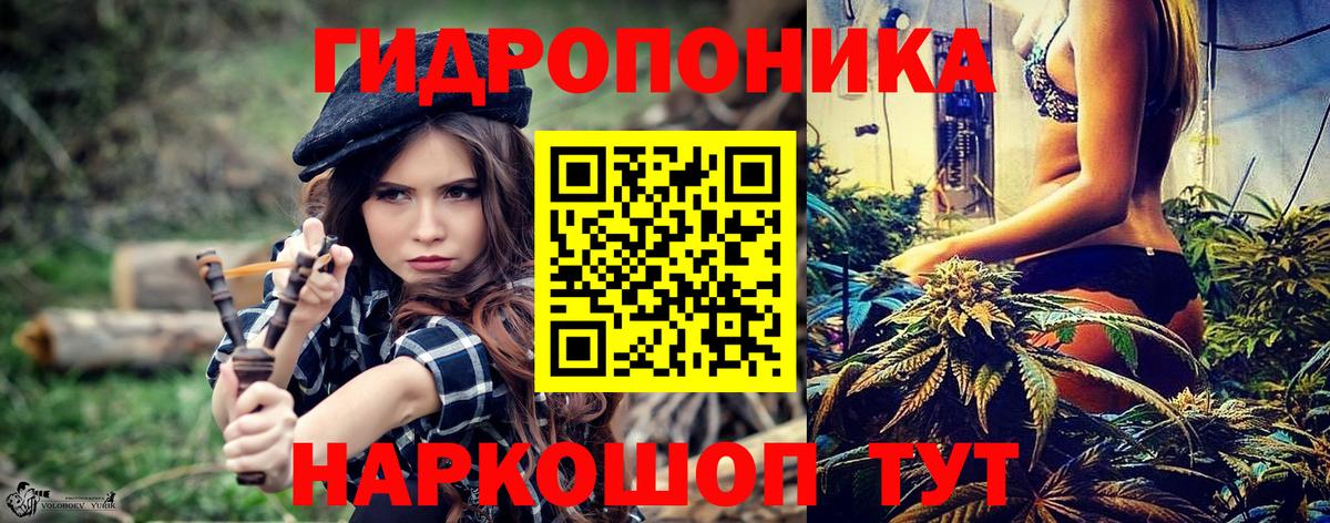 Канабис планчик  Вход с VPN  Шишки марихуана AK-47  Каннабис марихуана  Шишки марихуана Ganja  Лесозаводск 